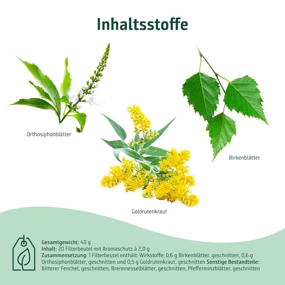 Inhaltsstoffe von Sidroga Blasen-Nieren-Spültee mit Birkenblättern, Goldrutenkraut und Orthosiphon