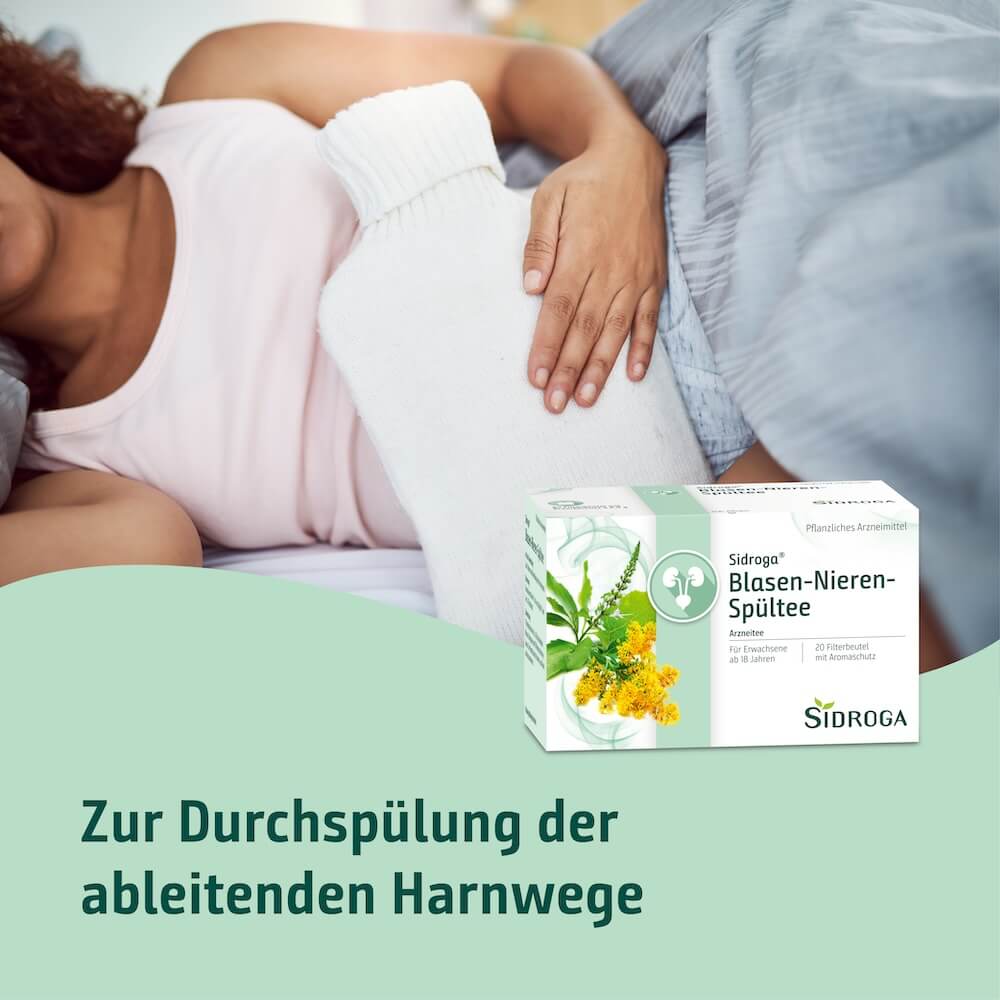 Sidroga Blasen-Nieren-Spültee bei Harnwegsbeschwerden und zur Durchspülung der Harnwege