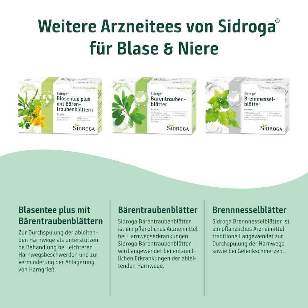 Sidroga Blasentees mit Bärentraubenblättern und Brennnessel für Harnwege und Blase
