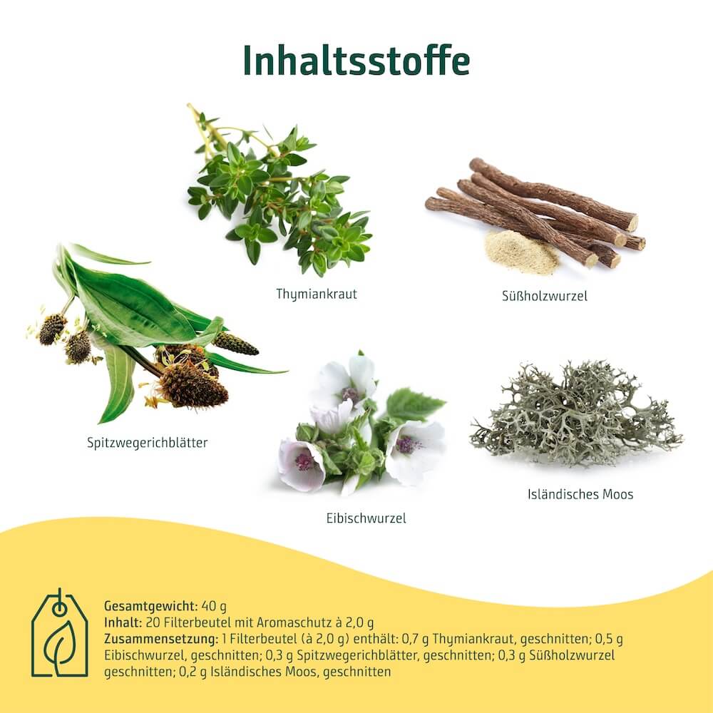 Inhaltsstoffe des Sidroga Husten- und Bronchialtees Inhaltsstoffe des Sidroga Husten- und Bronchialtees mit Thymiankraut, Spitzwegerichblättern, Eibischwurzel, Süßholzwurzel und Isländischem Moos.