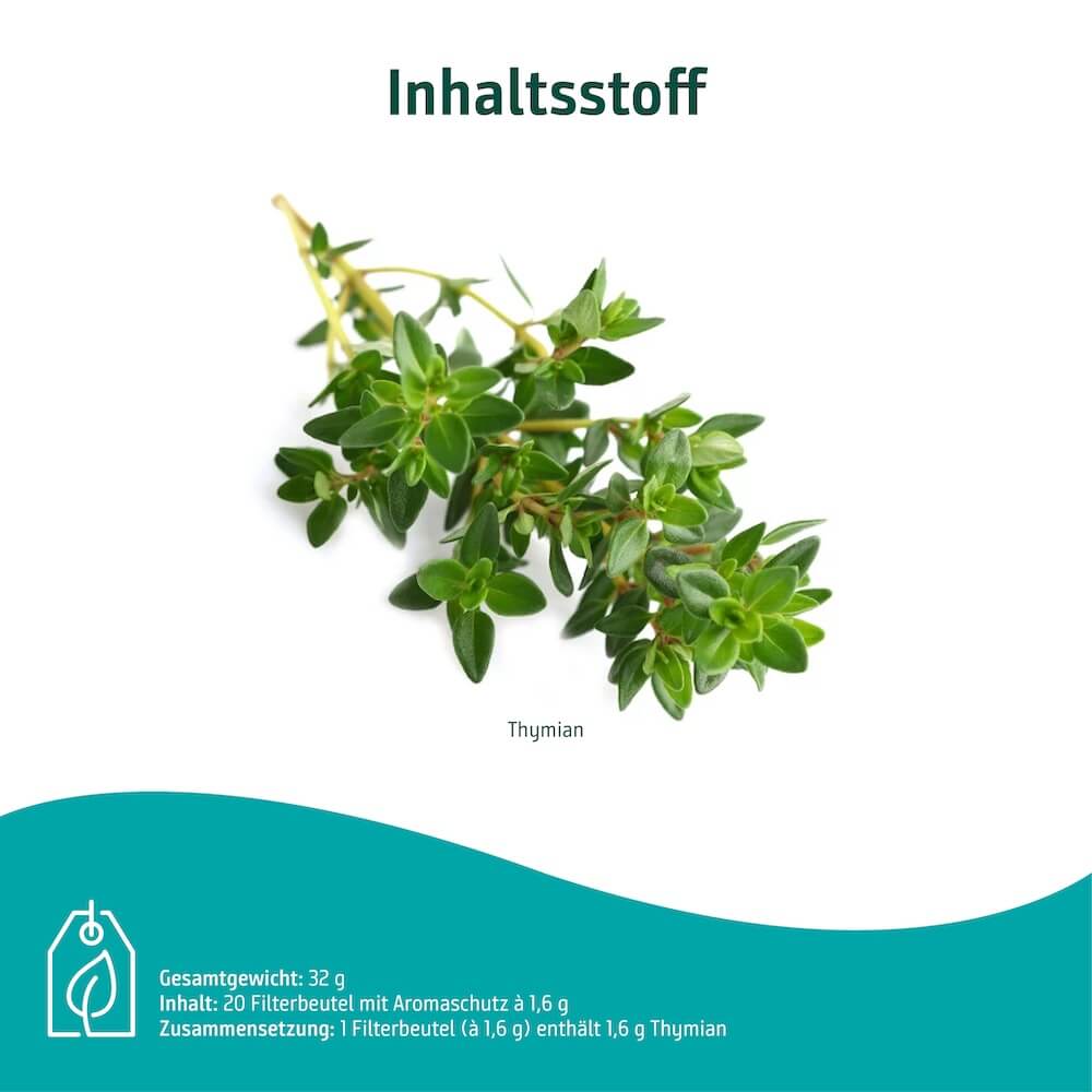 Thymian als pflanzlicher Inhaltsstoff des Sidroga Thymian Arzneitees zur Behandlung von Atemwegserkrankungen.